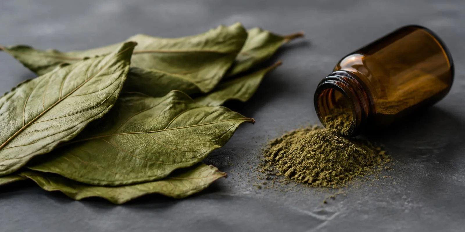 Dried kratom leaves and kratom powder spilling from an amber bottle on a grey surface