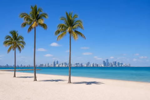Florida landscape representing drug and alcohol rehab centers in Florida