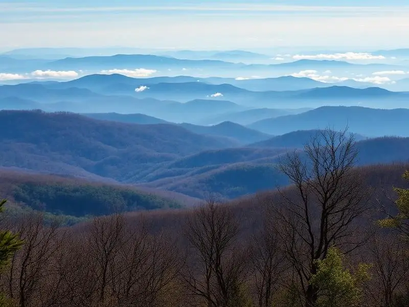 Virginia landscape