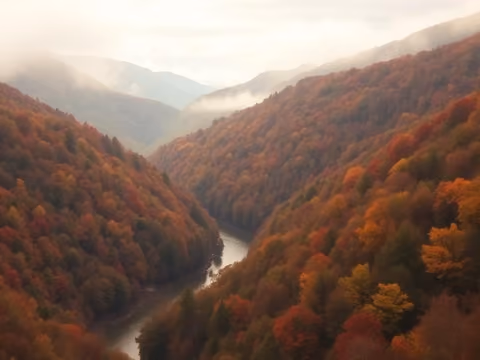West Virginia landscape representing drug and alcohol rehab centers in West Virginia